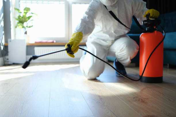 Reliable Biohazard contractor in Sterling, GA by Trauma Clean Pros